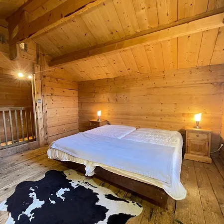 Apartment Mazot Savoyard Avec 2 Chambres, Wifi, Animaux Admis, Parking Privatif - Fr-1-505-217